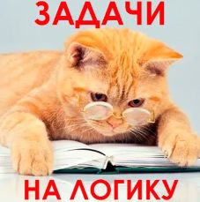 1000 и одна задача на логику