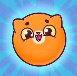 Кругляшата