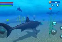 Megalodon Dino Survival Sim